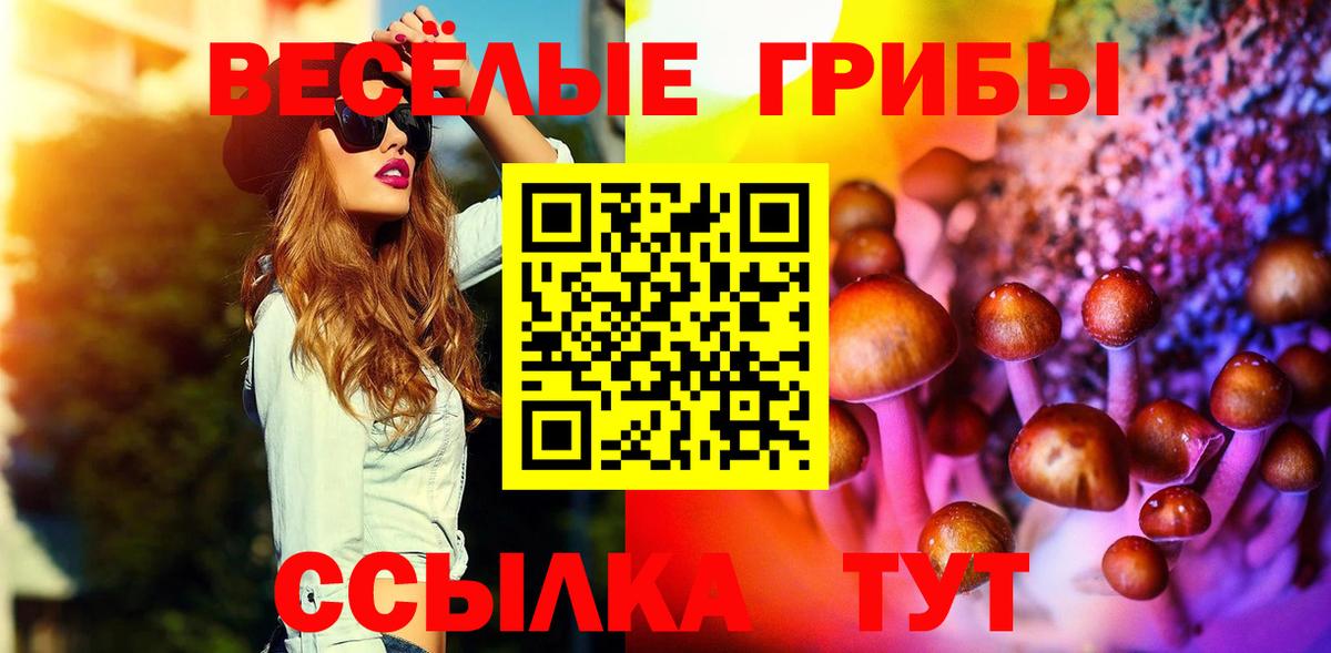 Галлюциногенные грибы MAGIC MUSHROOMS  как найти наркотики  Сургут  Вход с VPN  Галлюциногенные грибы Cubensis 